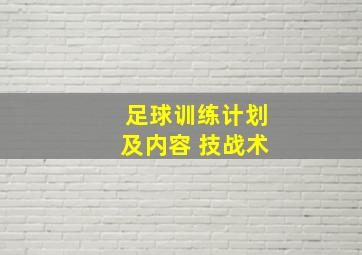 足球训练计划及内容 技战术